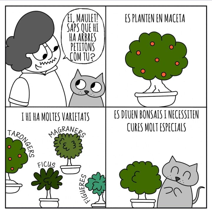 Vinyetes de Paco Bancal.