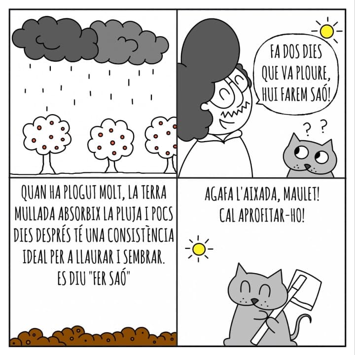 Vinyetes de Paco Bancal.