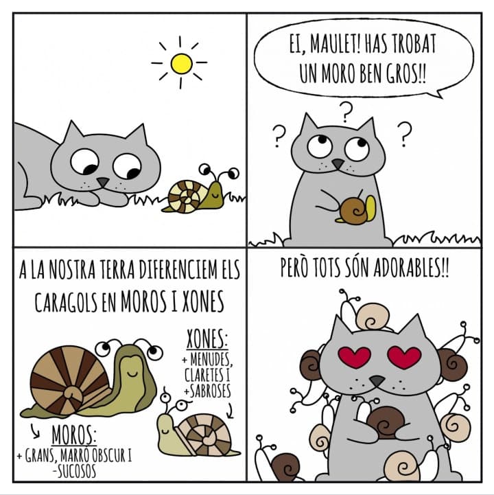 Vinyetes de Paco Bancal.